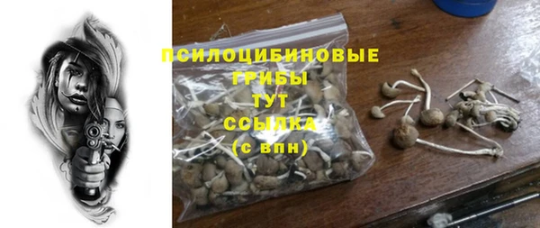 ешки Медвежьегорск