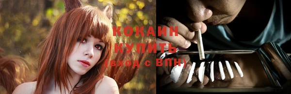 прущий лед Вяземский