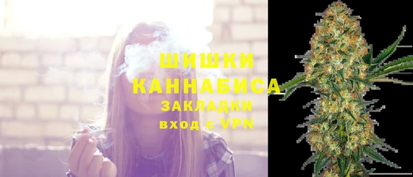 прущий лед Вяземский