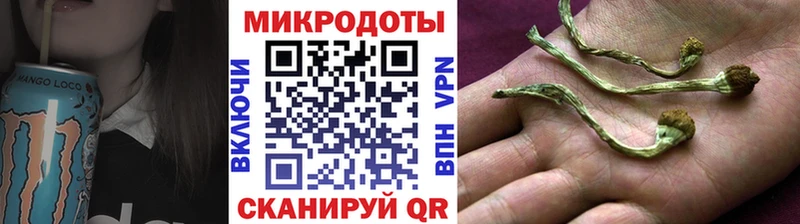 где можно купить   Малоархангельск  дарк нет наркотические препараты  Псилоцибиновые грибы Psilocybine cubensis 